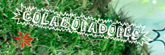Colaboradores